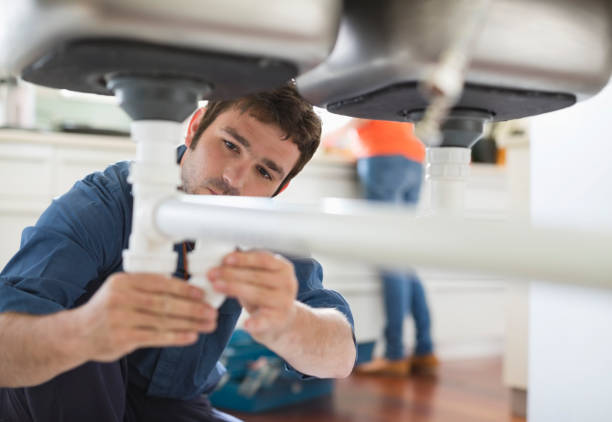 Best Local Plumber Services  in Williston, FL